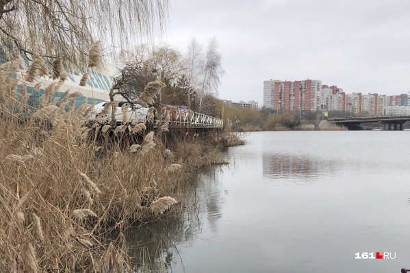 На фото — вид на Северное водохранилище со стороны теннисного центра «Гедон» На фото — вид на Северное водохранилище со стороны теннисного центра «Гедон»