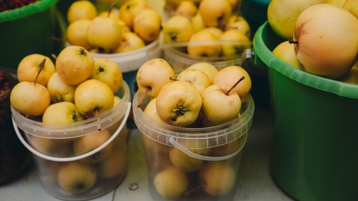 Шесть простых рецептов: как избавиться от яблок, которыми тюменцев заваливают родственники-садоводы