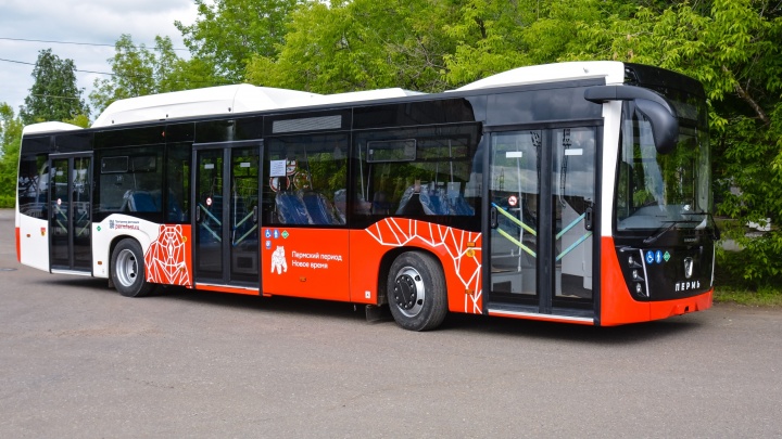 Минтранс ищет перевозчика на четыре автобусных маршрута в агломерации Перми