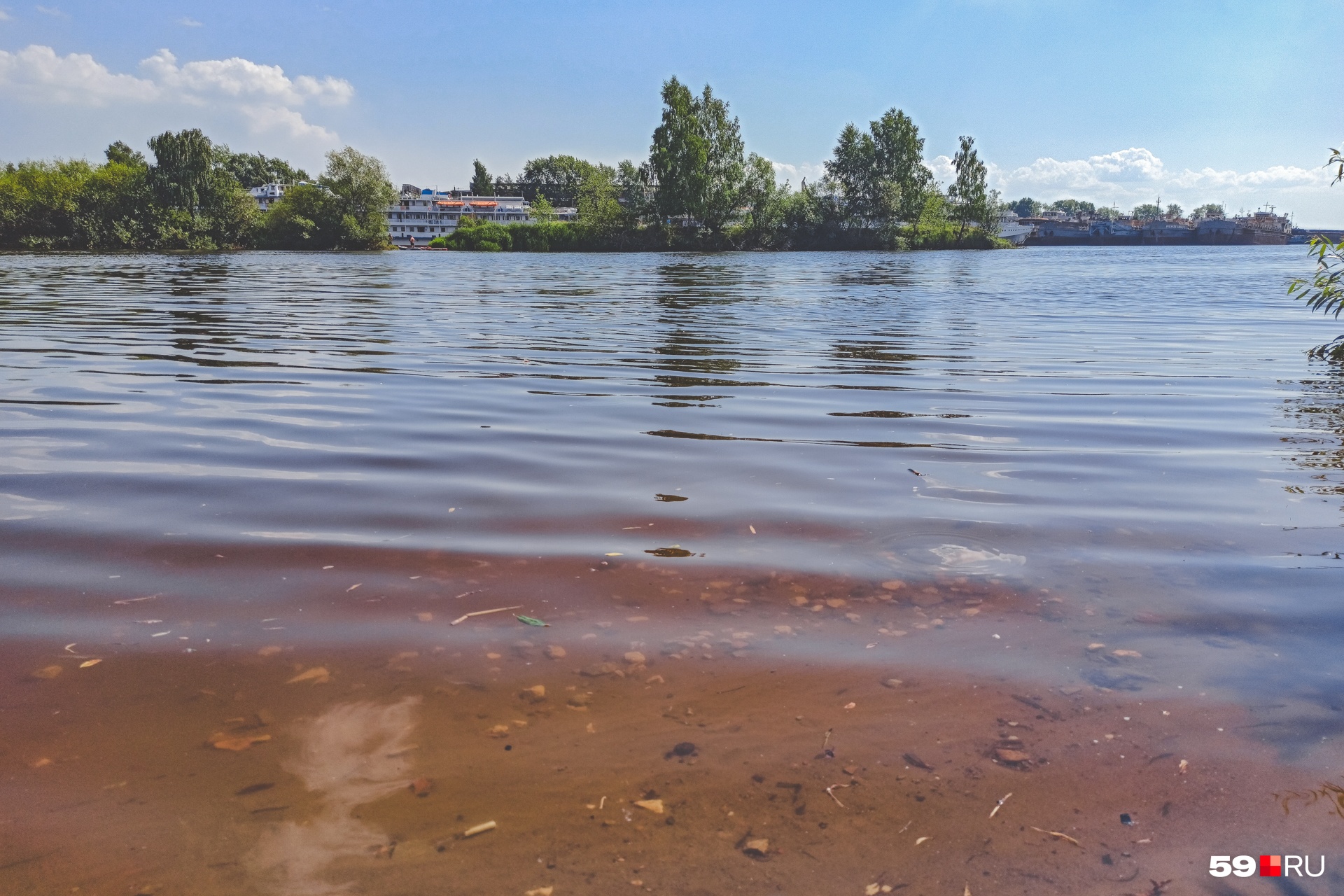 В воде плавает мусор В воде плавает мусор