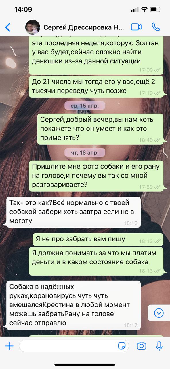 На просьбы показать животное Сергей Федосеенко утверждал, что с ним всё в порядке На просьбы показать животное Сергей Федосеенко утверждал, что с ним всё в порядке