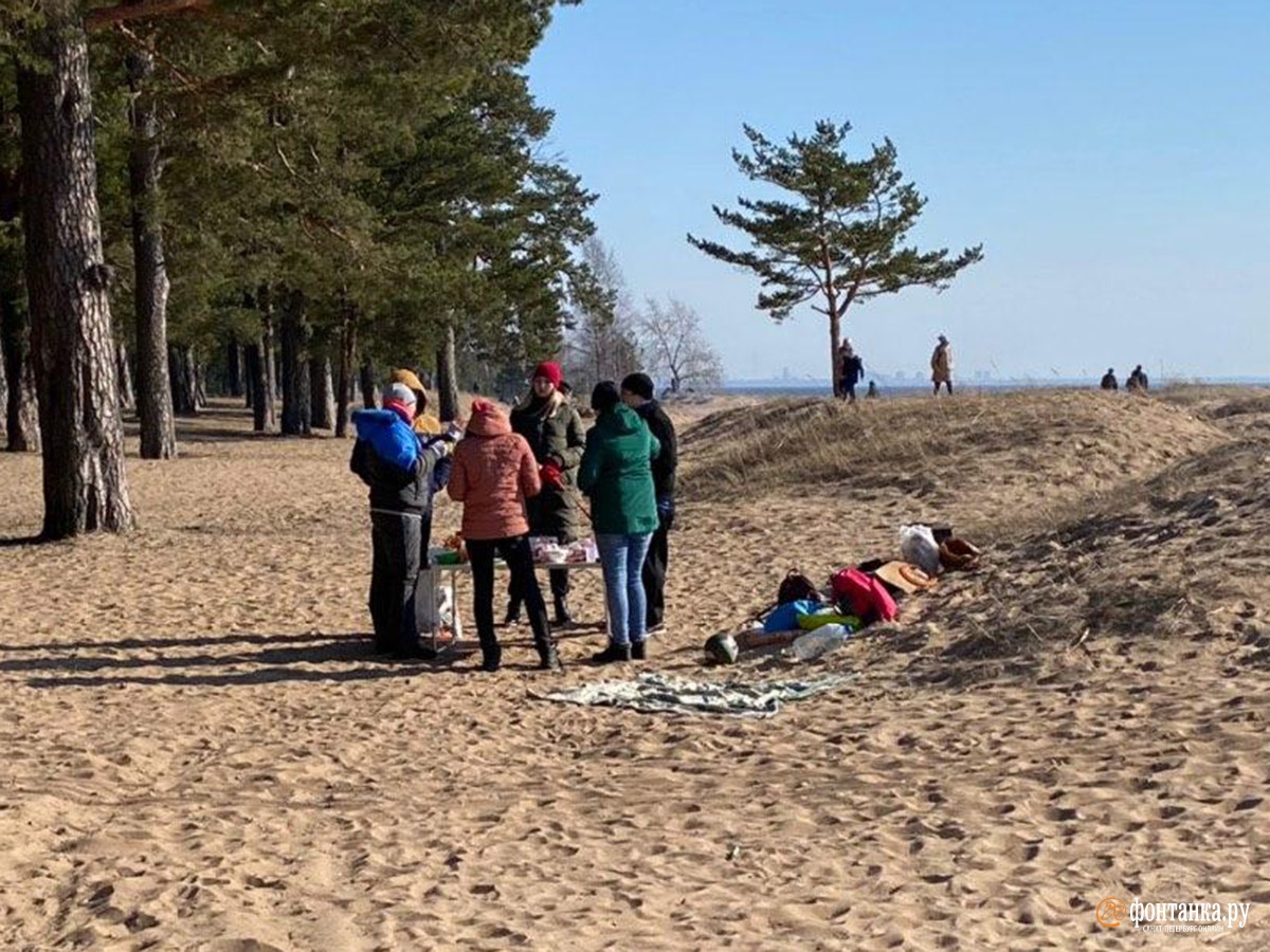 Побережье Финского залива в районе Репино-Комарово-Зеленогорска