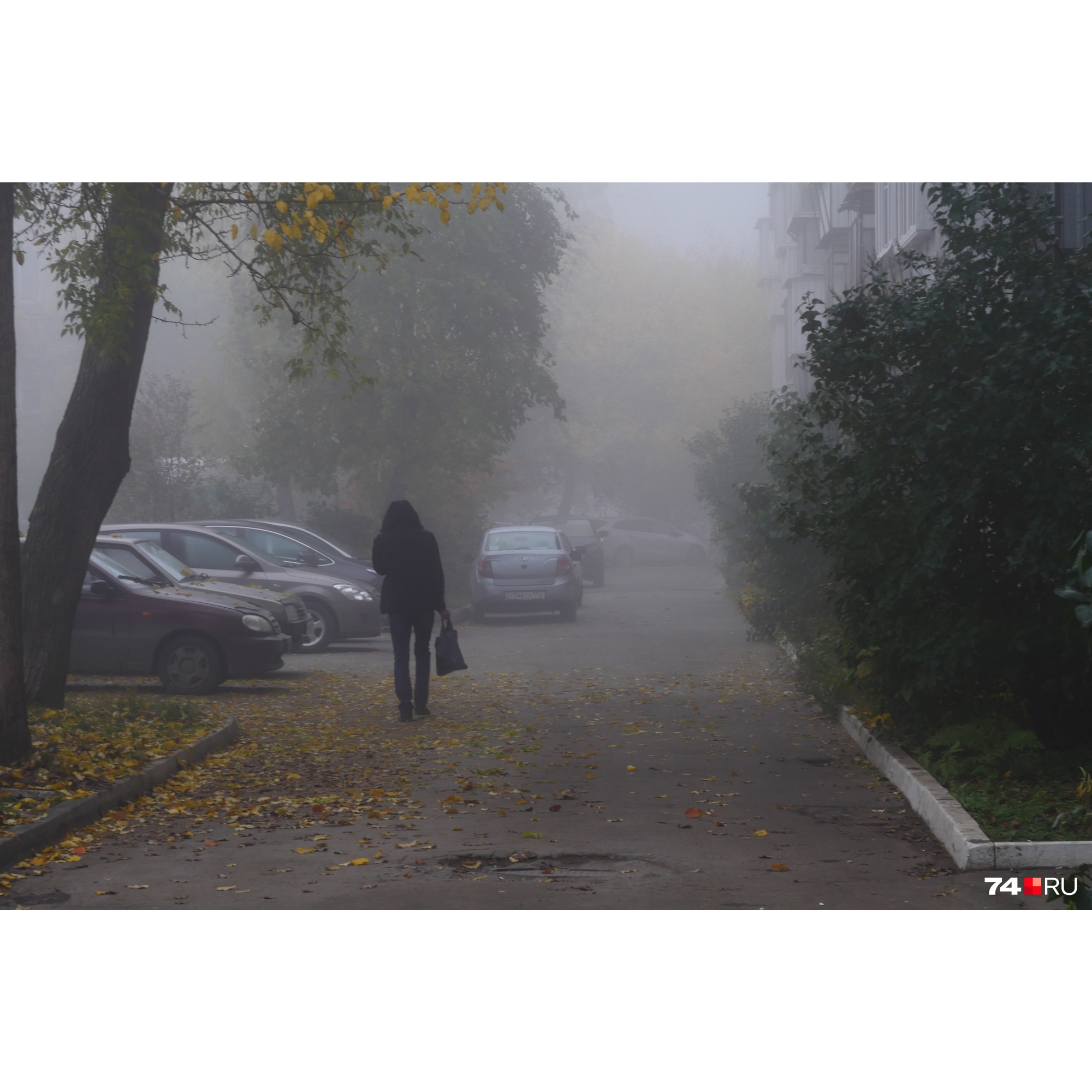 Многие горожане отмечают, что влажный воздух сегодня неважно пахнет Многие горожане отмечают, что влажный воздух сегодня неважно пахнет