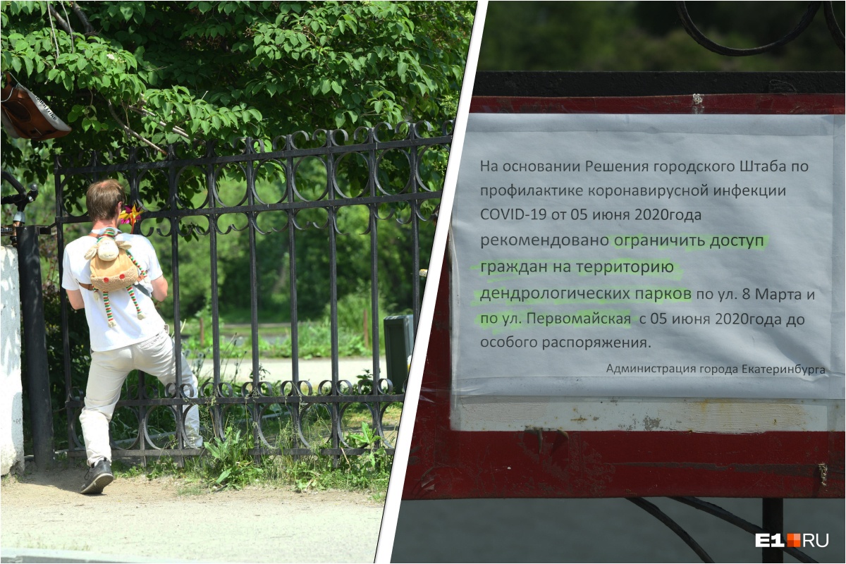 В мэрии объяснили, почему дендропарки закрыли после того, как Куйвашев разрешил прогулки