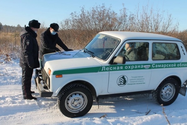 Особое внимание патрули обращают на молодые хвойные растения Особое внимание патрули обращают на молодые хвойные растения