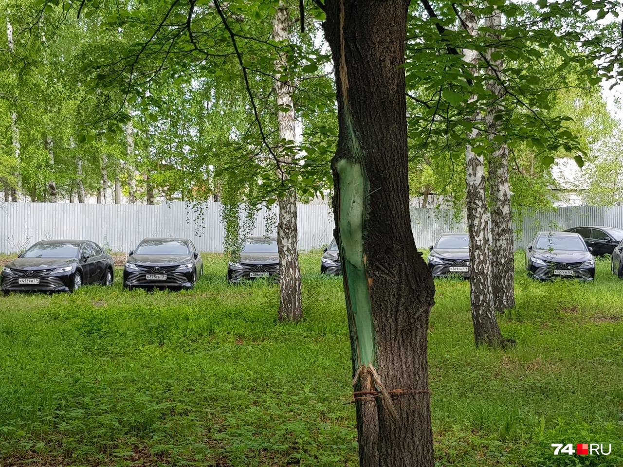 Пригнали машины из Магнитогорска, поставщик — автосалон из родного города бывшего губернатора Пригнали машины из Магнитогорска, поставщик — автосалон из родного города бывшего губернатора