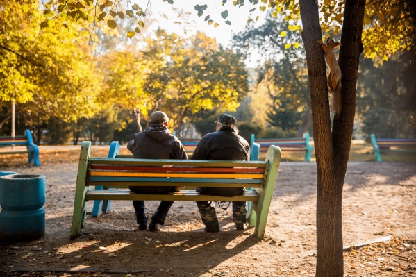 В субботу будет сухо и тепло — до +14 градусов В субботу будет сухо и тепло — до +14 градусов