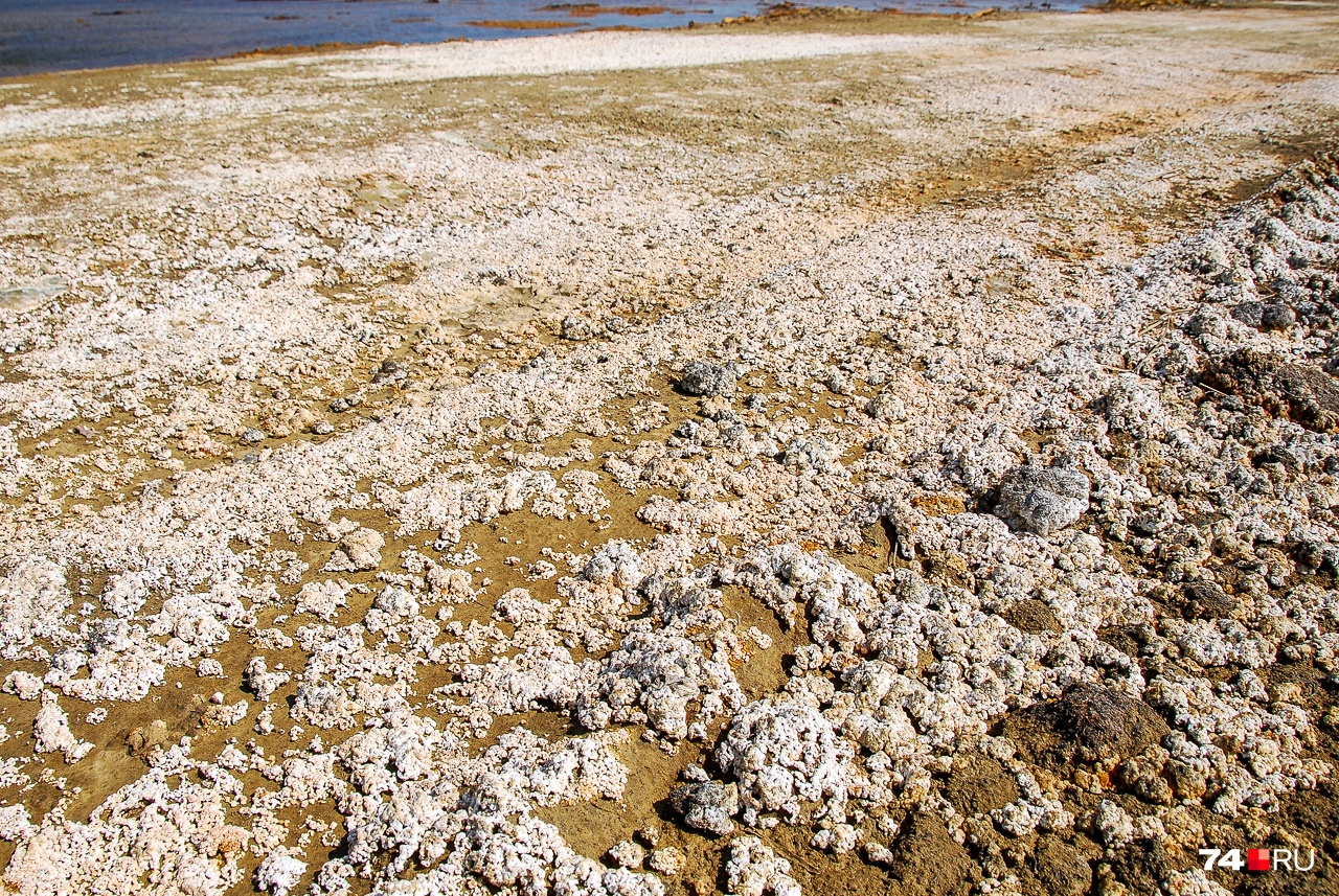 Отложения по берегам водоёмов Отложения по берегам водоёмов
