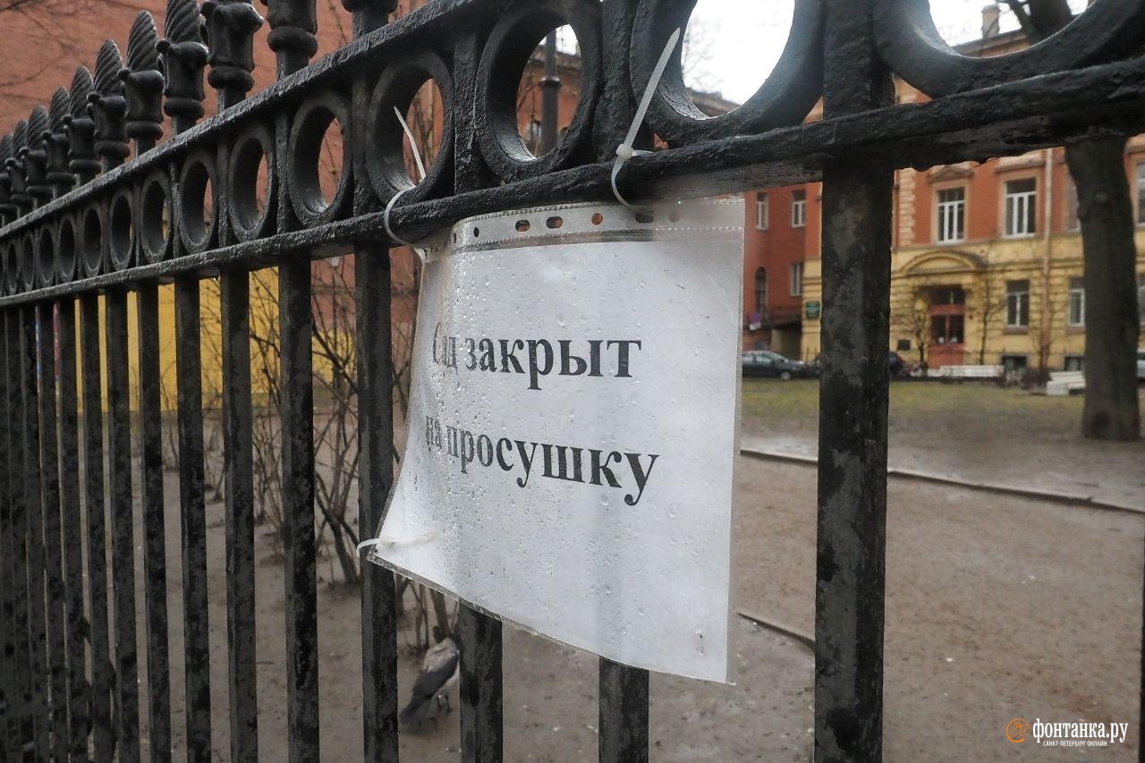 автор фото Михаил Огнев / «Фонтанка.ру»