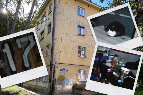 Тот самый дом, в подвале которого обнаружили несколько странных помещений Тот самый дом, в подвале которого обнаружили несколько странных помещений