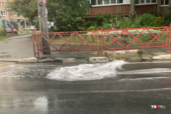 Похожую картину люди заметили в разных районах Ярославля Похожую картину люди заметили в разных районах Ярославля