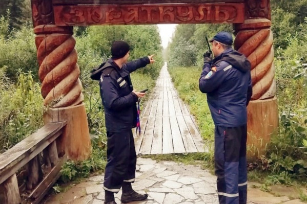 Заблудившийся мужчина ночевал в лесу и искал выход много часов. В это время спасатели прочёсывали местность Заблудившийся мужчина ночевал в лесу и искал выход много часов. В это время спасатели прочёсывали местность 
