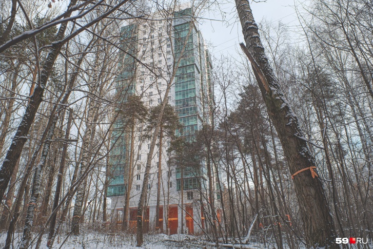 Общежитие планируют строить между ДКЖ и высоткой ЖК «Олимп» (на фото)