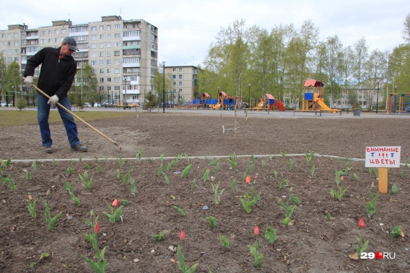 В список для голосования попали 10 территорий В список для голосования попали 10 территорий