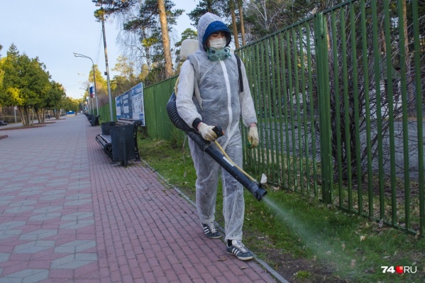 В этом году парки и скверы обработают от клещей, не дожидаясь лета В этом году парки и скверы обработают от клещей, не дожидаясь лета