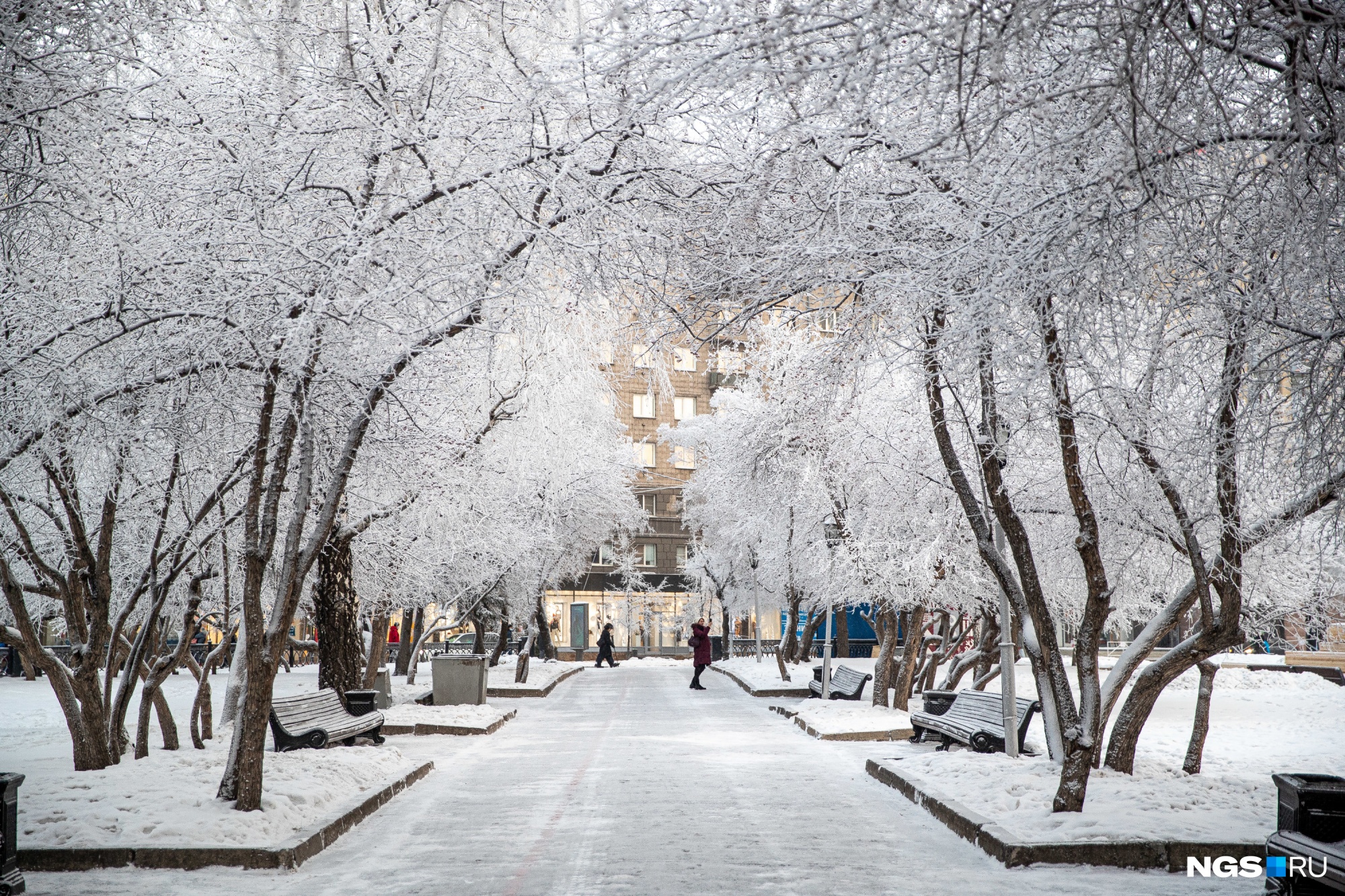 В Новосибирск идут аномальные морозы до -32 градусов. Синоптики рассказали, когда вернется тепло