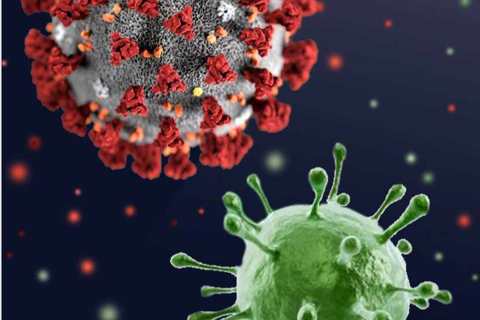 Huawei health вирус. Вирусы. Современные вирусы. Как выглядит вирус ВИЧ.