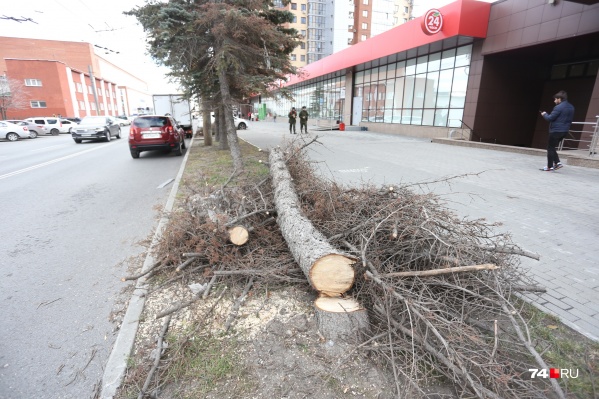 Под топор пошли две ели Под топор пошли две ели
