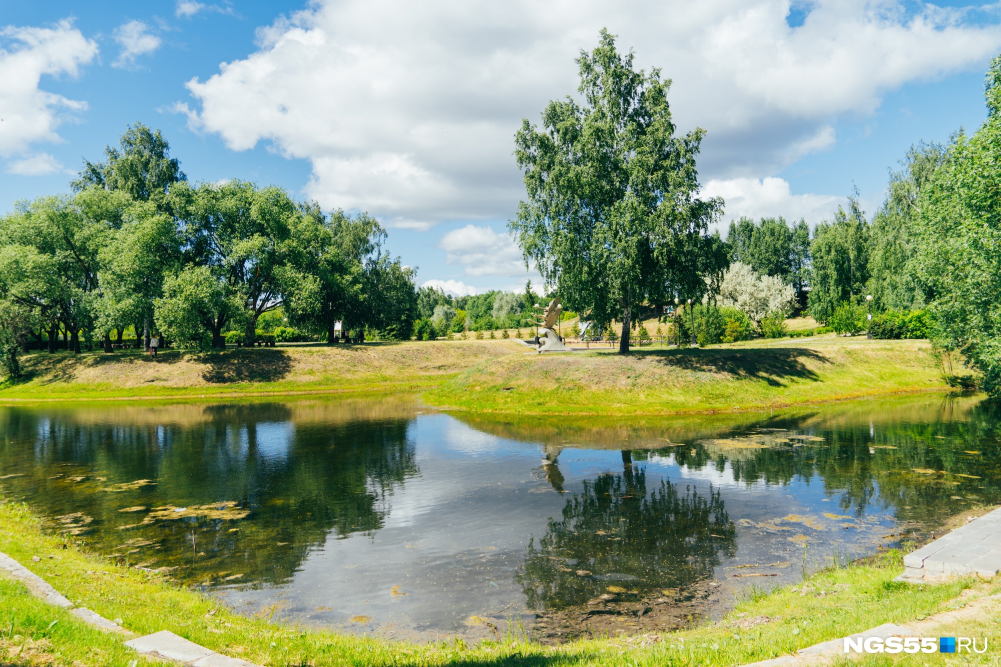 Природа регионального значения. Старозагородная роща Омск дендропарк. Областной дендросад Омск. Красный путь Старозагородная роща Омск. Дендрологический сад Старозагородная в Омске.