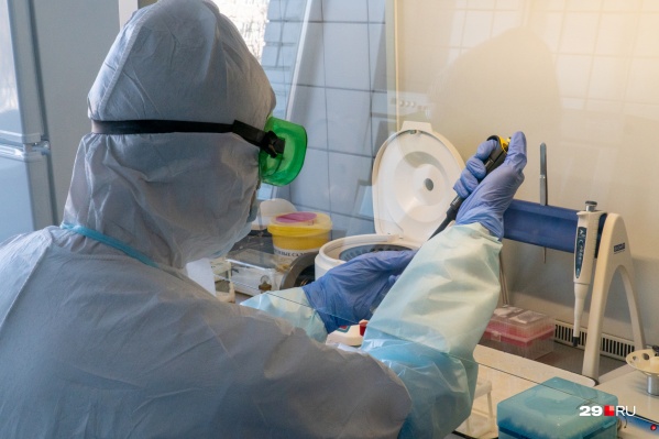 Положительными результаты оказались уже у 24 человек Положительными результаты оказались уже у 24 человек