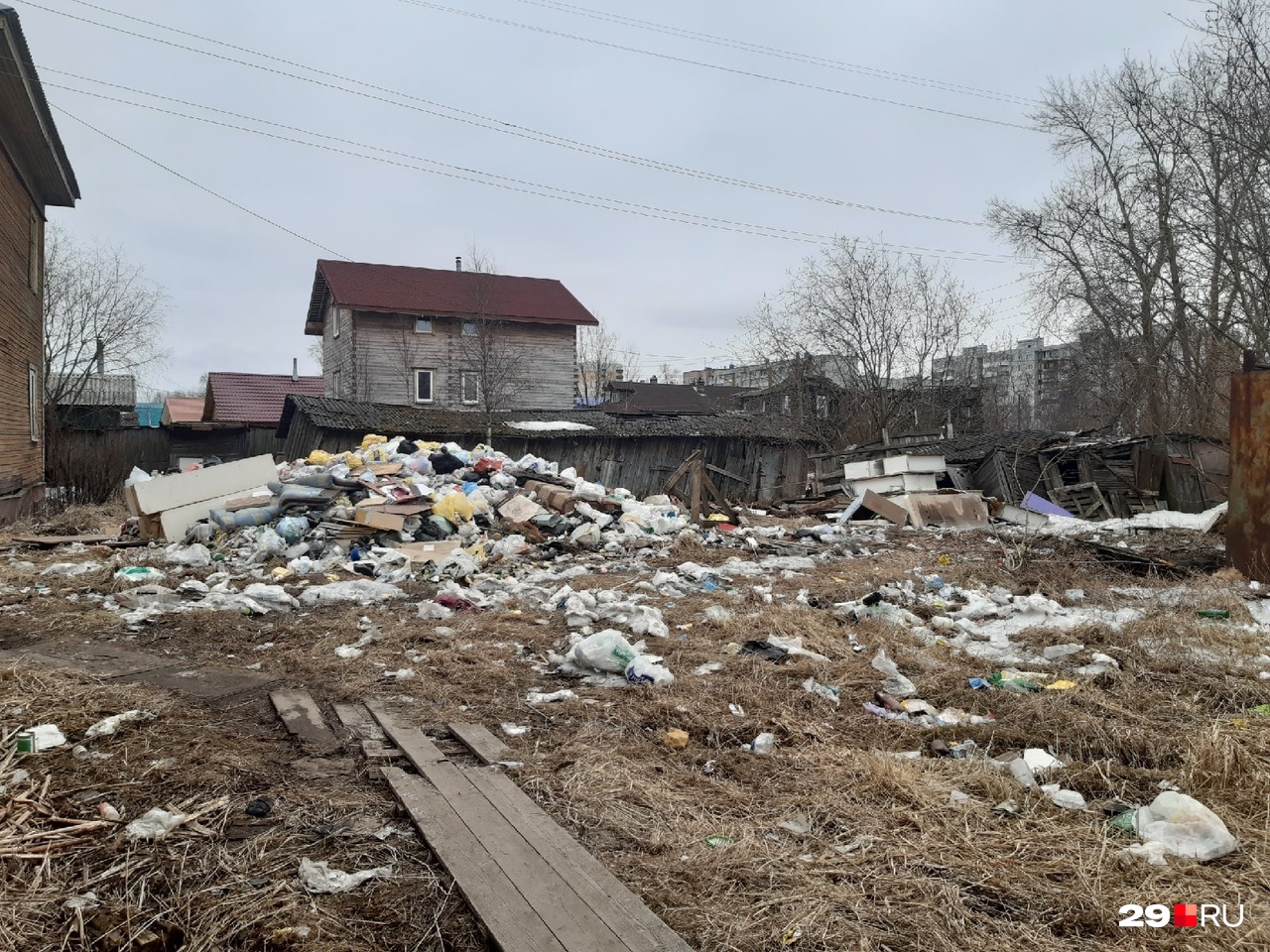 Александр Цыбульский — о мусоре в Поморье: «Количество жалоб на регоператора уже зашкаливает»