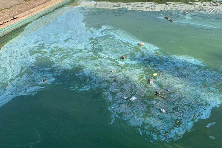 Странные пятна на воде появились в самом центре Ярославля Странные пятна на воде появились в самом центре Ярославля