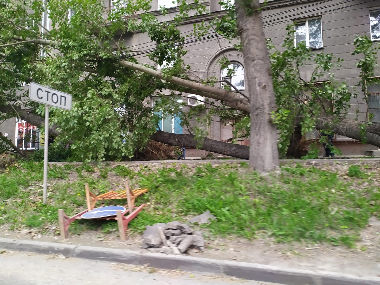 Упало как минимум три дерева Упало как минимум три дерева