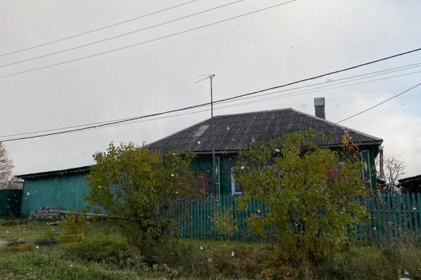 В воздухе кружили небольшие снежинки В воздухе кружили небольшие снежинки