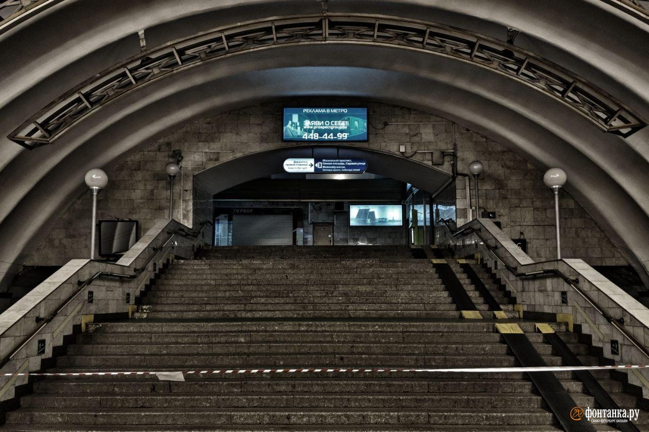 автор фото Павел Каравашкин / «Фонтанка.ру»