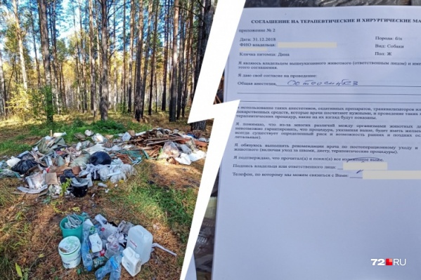 Бумаги лежали в куче со строительным мусором Бумаги лежали в куче со строительным мусором
