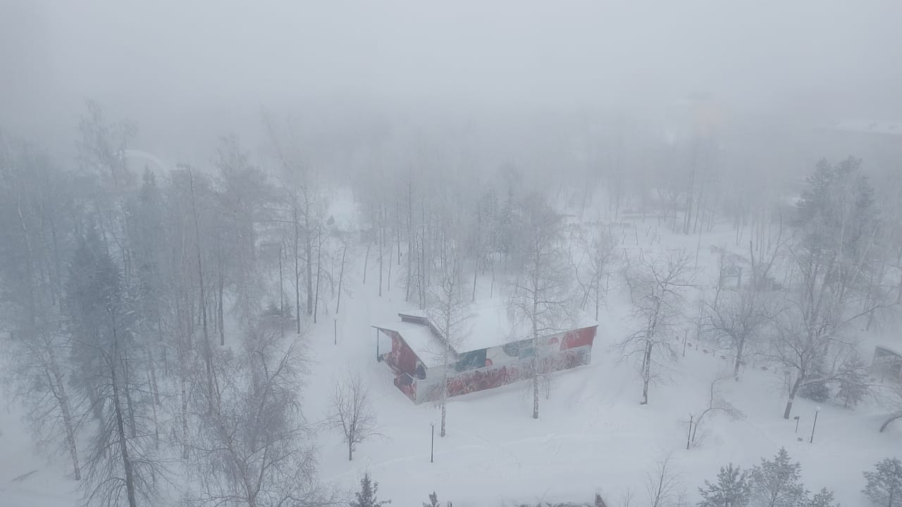 Вид на Центральный парк Вид на Центральный парк