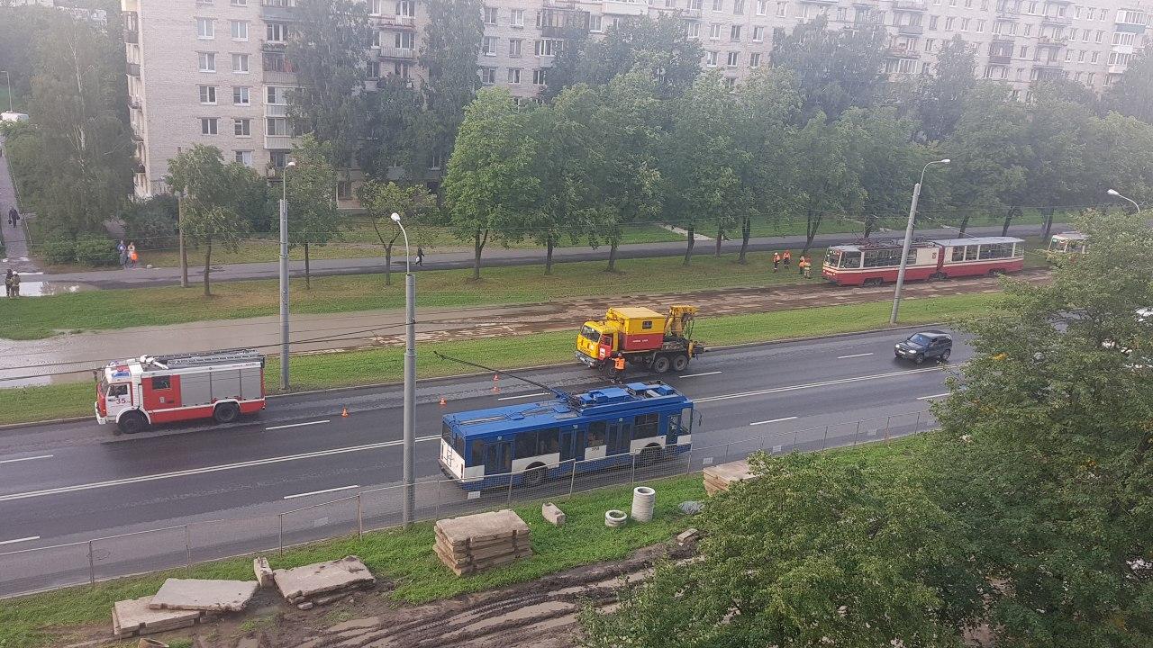 На трамвайных путях на проспекте Ветеранов «бьёт ручей». Пассажирам придётся пересесть на автобус