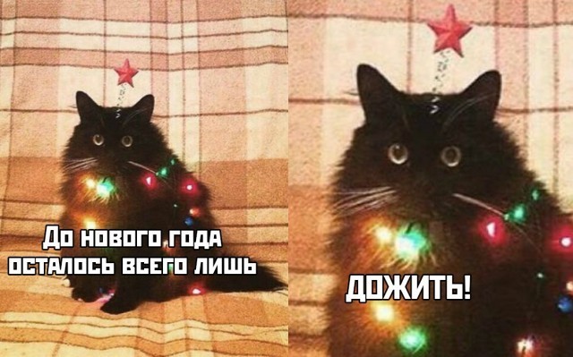 Kak Koronavirus Isportil Plany Chelyabincev Na Novyj God 2021 74 Ru Novosti Chelyabinska