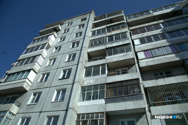 Беспородную собаку выкинули с 5-го этажа Беспородную собаку выкинули с 5-го этажа