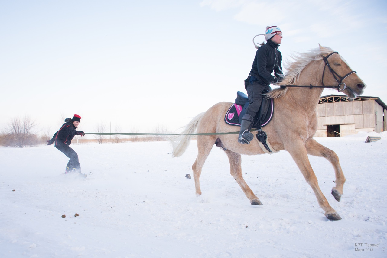 Сани в прошлом, теперь коней запрягают в сноуборд