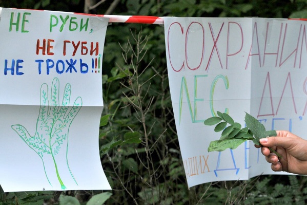 10 августа Арбитражный суд Ростовской области признал ничтожной сделку о передаче части рощи СКА арендатору 10 августа Арбитражный суд Ростовской области признал ничтожной сделку о передаче части рощи СКА арендатору