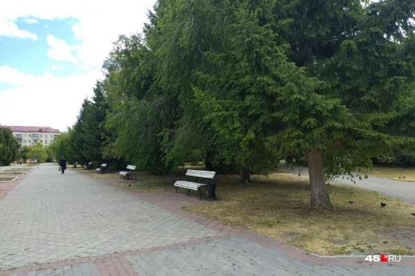 В Кургане на этой неделе аномальная жара может немного отступить, считают синоптики В Кургане на этой неделе аномальная жара может немного отступить, считают синоптики