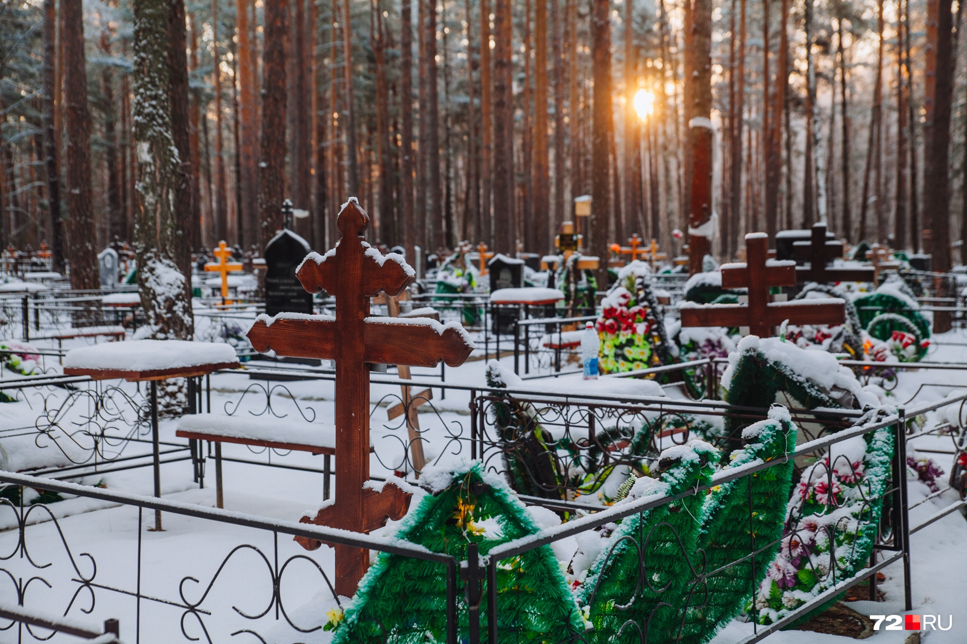 — Коронавирусные лежат повсюду, — говорят копальщики — Коронавирусные лежат повсюду, — говорят копальщики