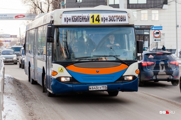 Автобусы не могут ездить по отремонтированной дороге Автобусы не могут ездить по отремонтированной дороге