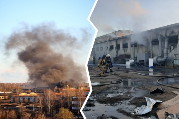 Пожар произошёл на улице Луговой в Рыбинске Пожар произошёл на улице Луговой в Рыбинске