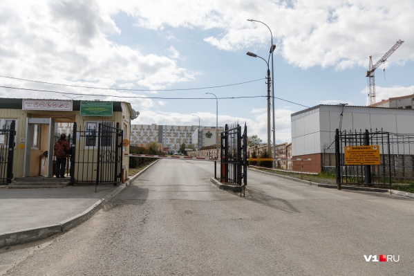 В 25-й больнице Светлана нашла самые низкие цены в городе В 25-й больнице Светлана нашла самые низкие цены в городе