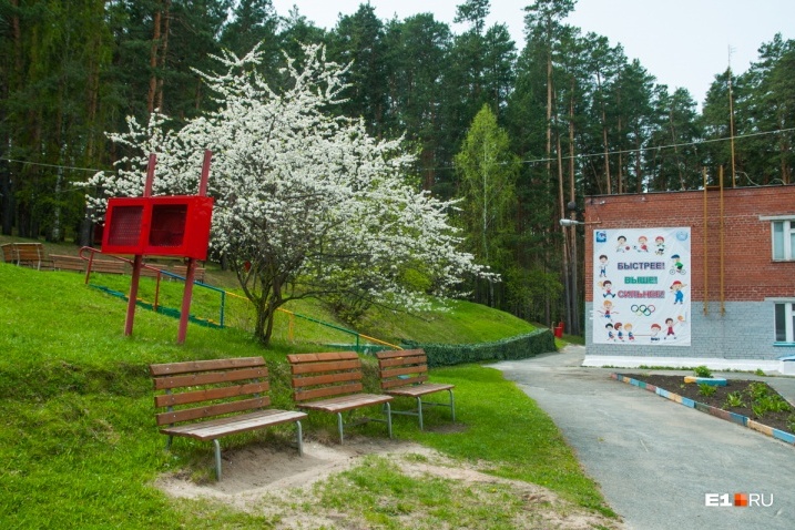 Детские загородные лагеря готовы к тому, чтобы открыться в начале июня Детские загородные лагеря готовы к тому, чтобы открыться в начале июня