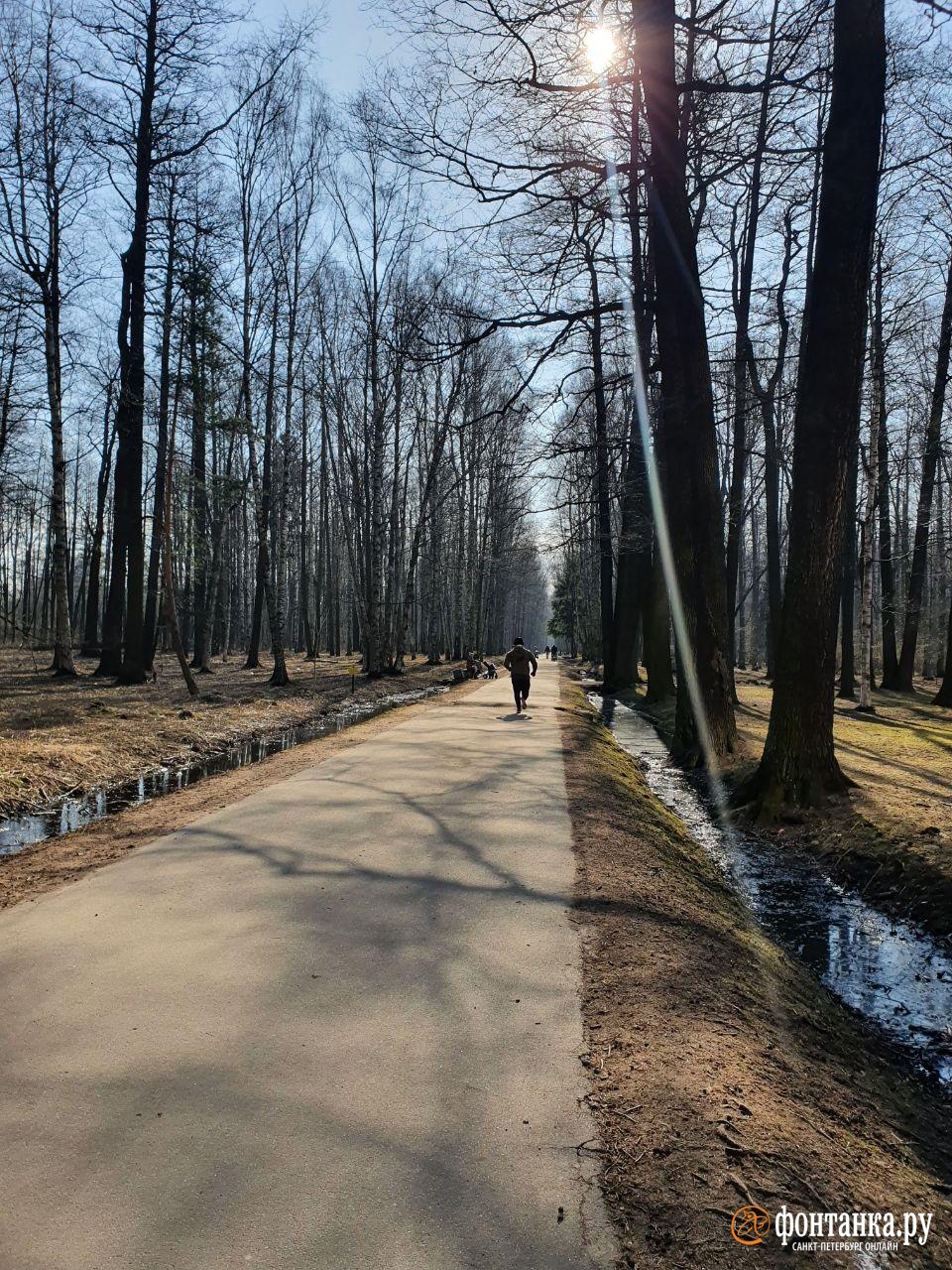 удельный парк в петербурге