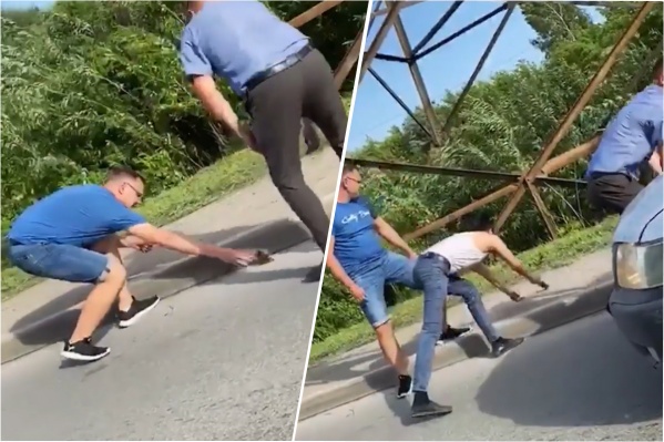На кадрах не видно мамы утят, но мы надеемся, что у малышей всё хорошо На кадрах не видно мамы утят, но мы надеемся, что у малышей всё хорошо