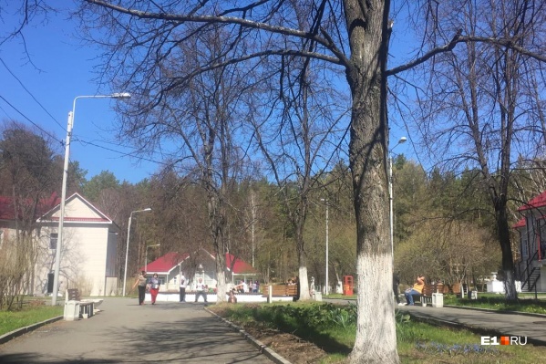 Сегодня из обсерватора под Асбестом выписали всех туристов. Путешественники впервые за полмесяца вышли на улицу Сегодня из обсерватора под Асбестом выписали всех туристов. Путешественники впервые за полмесяца вышли на улицу