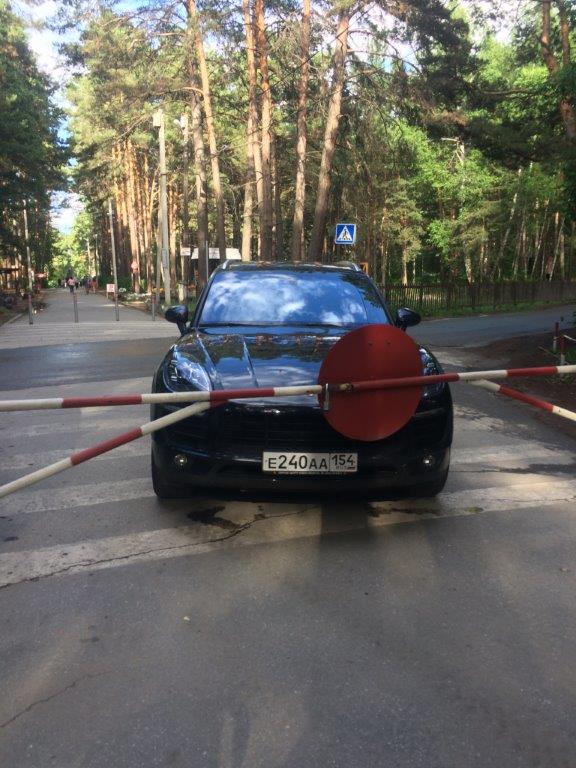 В Заельцовском парке В Заельцовском парке