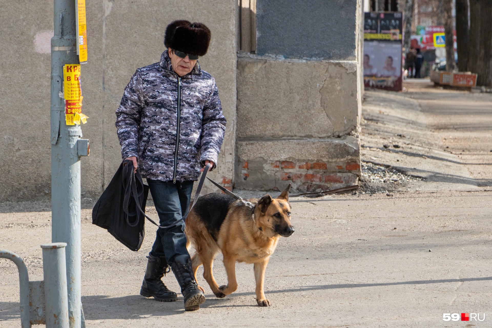 Выгуливать собаку можно без всяких разрешений. Но не более чем в ста метрах от дома Выгуливать собаку можно без всяких разрешений. Но не более чем в ста метрах от дома
