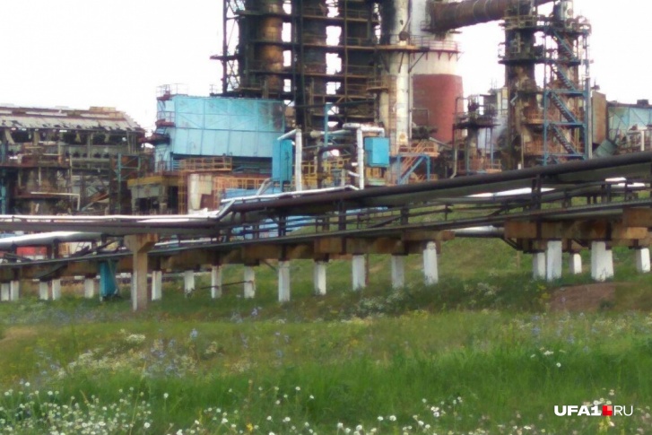 Трагедия случилась четыре года назад Трагедия случилась четыре года назад