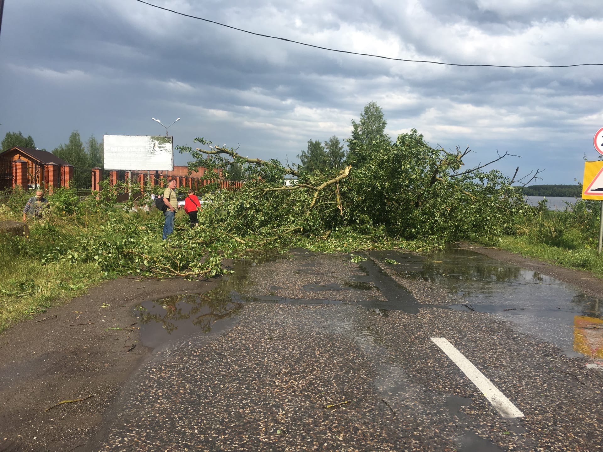 Несколько дорог заблокировано упавшими деревьями