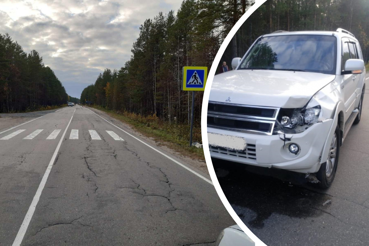 На автодороге из Архангельска в Онегу насмерть сбили 82-летнюю пенсионерку